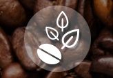 Beanstalk n Leaves Coffee Review