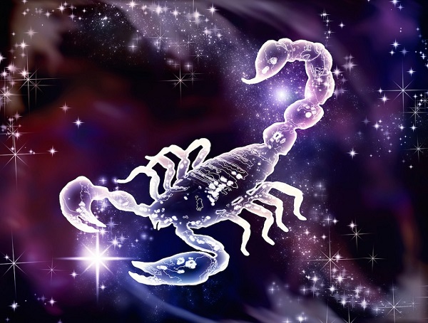 the best zodiac sign that can fight